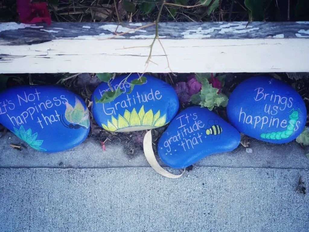 three painted rocks with words written on them, gratitude