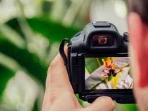 How Photography Can Help Cultivate Mindfulness and Gratitude