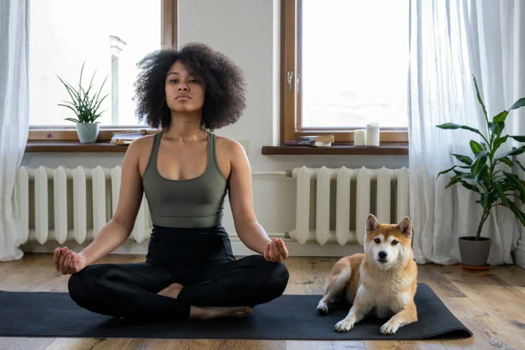 Free stock photo of afro, afro hair, animal, meditation