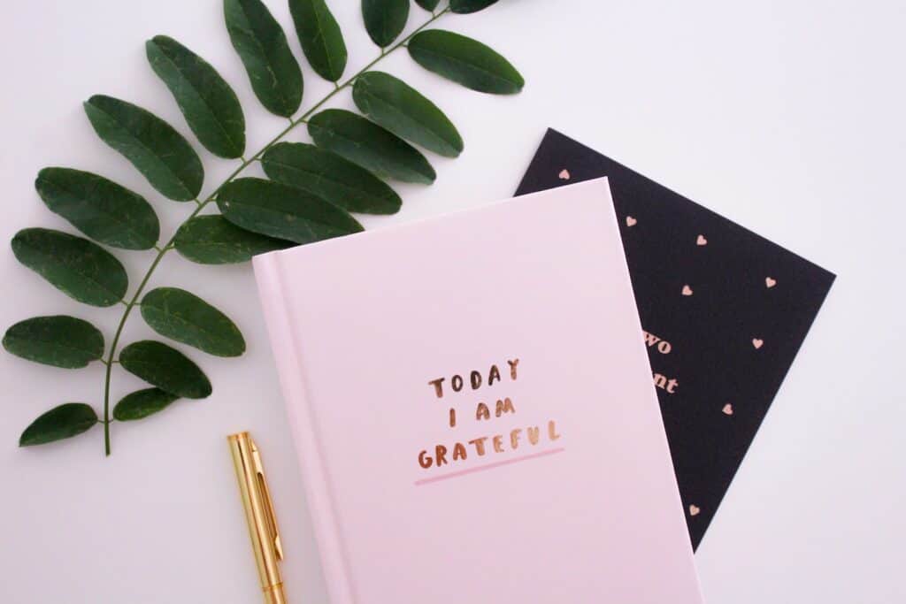 Today I am Grateful book, gratitude journal