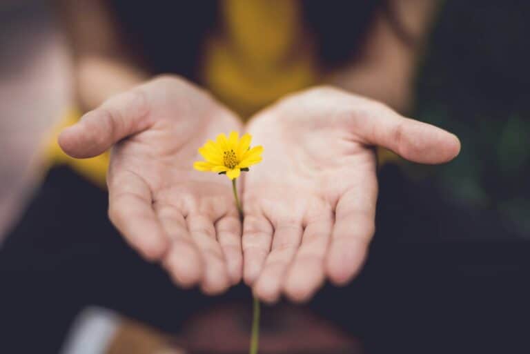 Mindfulness in Daily Life