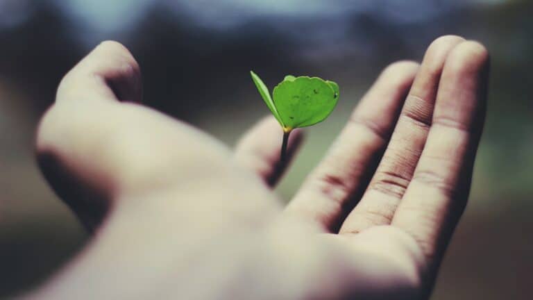 passion and personal growth