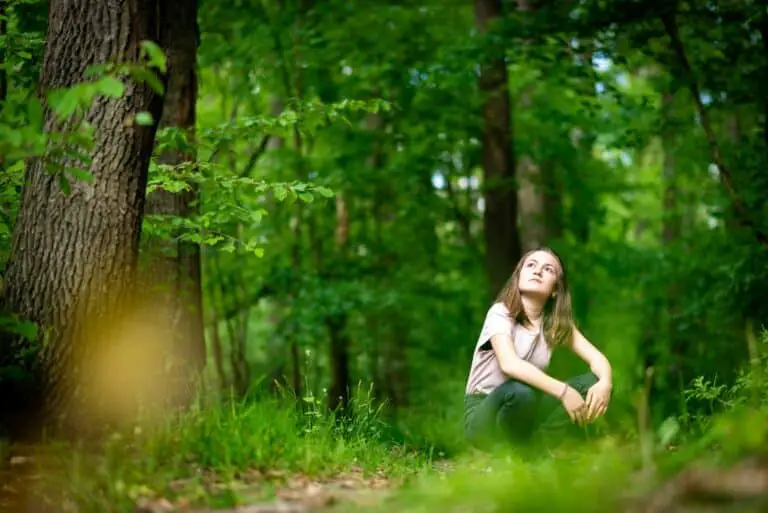 forest bathing for relaxation