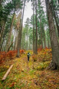 Nature Walks for Mental Health