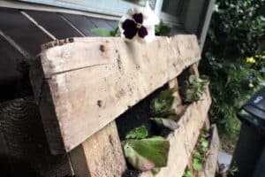 pallet garden