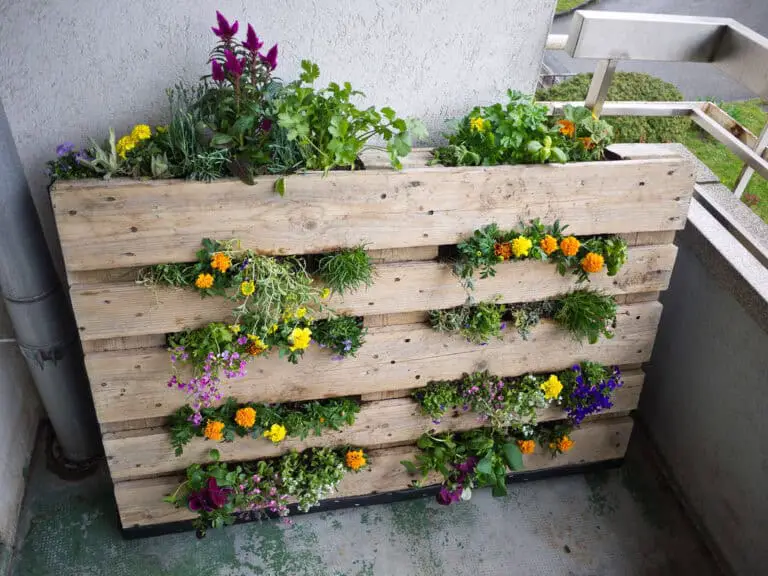 pallet garden projects