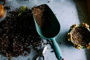 meditative gardening